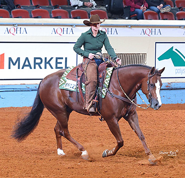 NSBA Announces Double Tapn As 2024 Horse Of The Year