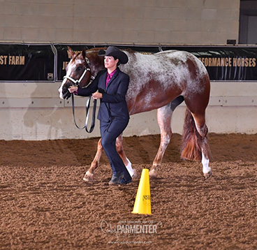 NSBA Announced New Classes For 2025 World Championship Show